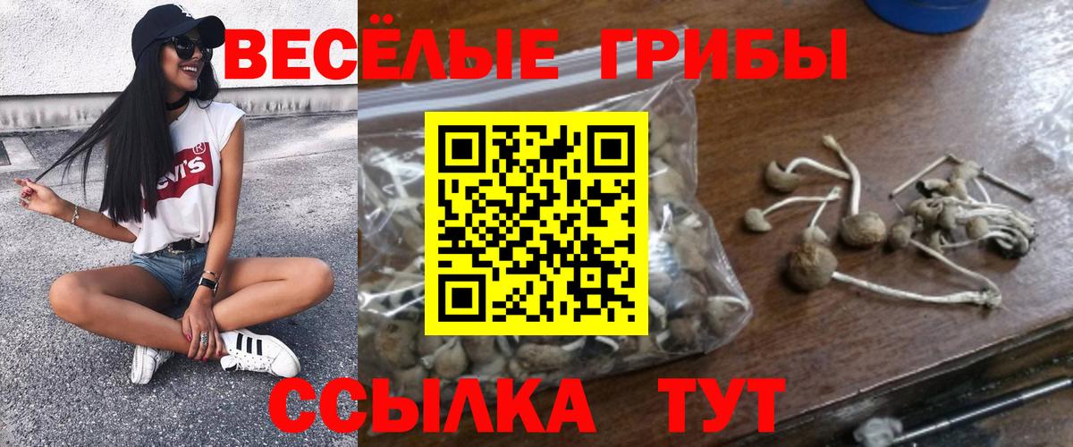 Коряжма  Псилоцибиновые грибы Psilocybine cubensis  закладка  Галлюциногенные грибы мицелий  Вход с VPN 